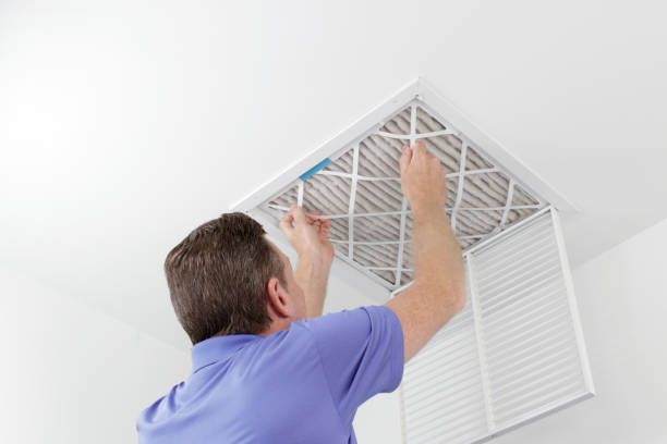 Best Dryer Vent Cleaning Services  in Hazen, ND